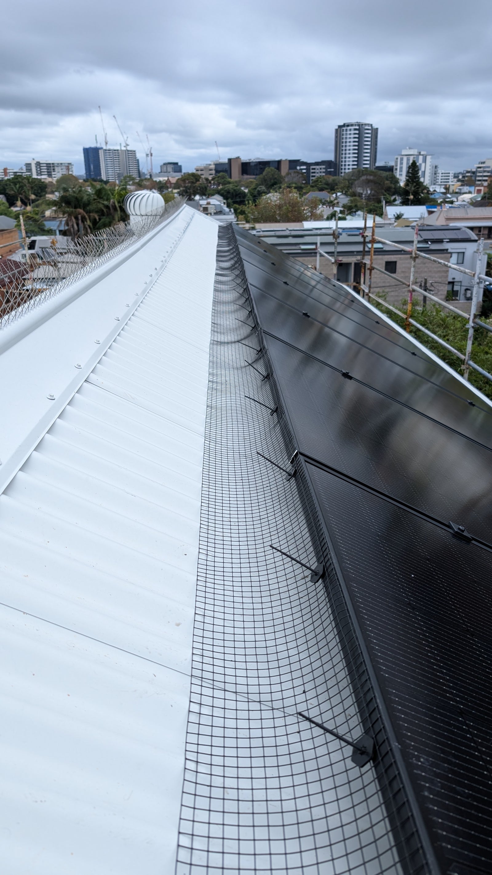 Solar Panels on roof with Solar Mesh installed