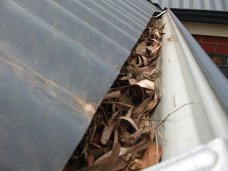 1. Clean out your gutters