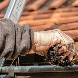 Gutter Cleaning Costs