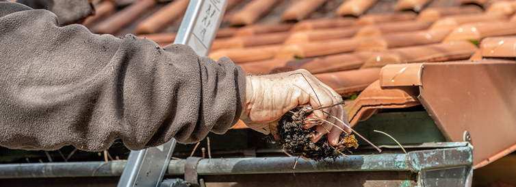 Gutter Guard Maintenance: The Essential Guide to Protecting Your Home