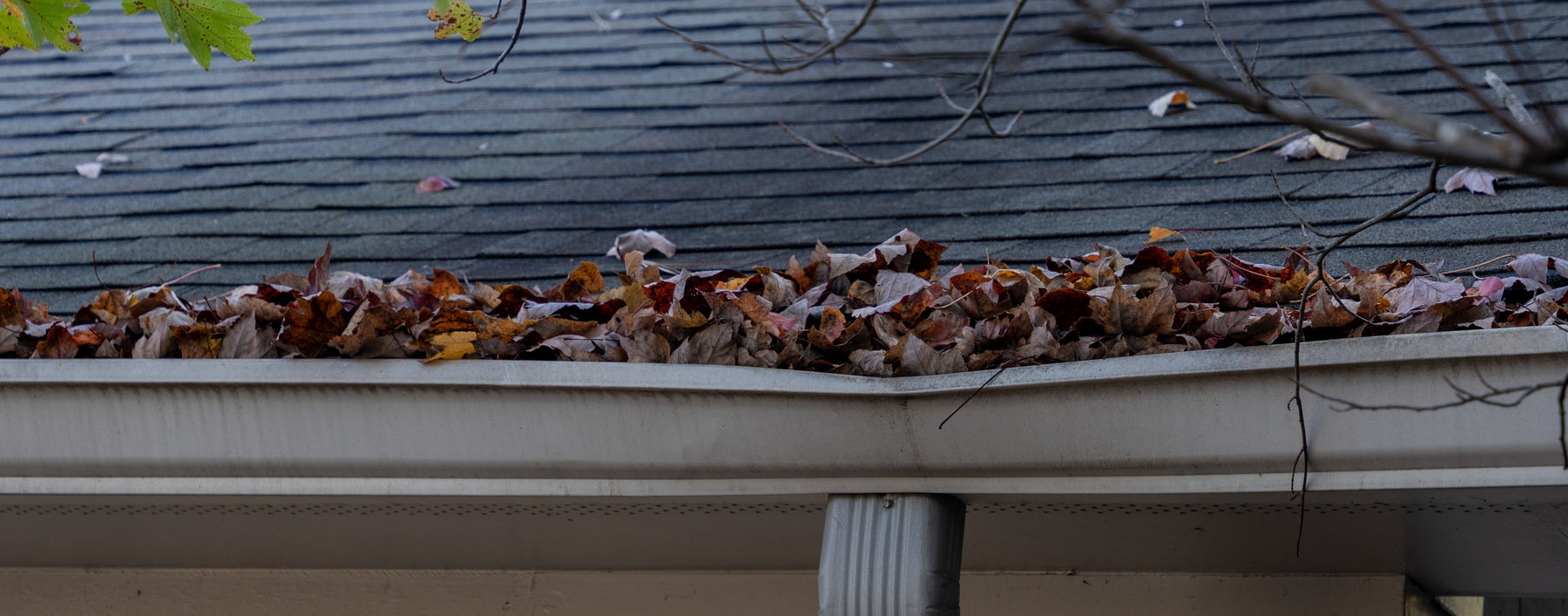 Cleaning Gutters
