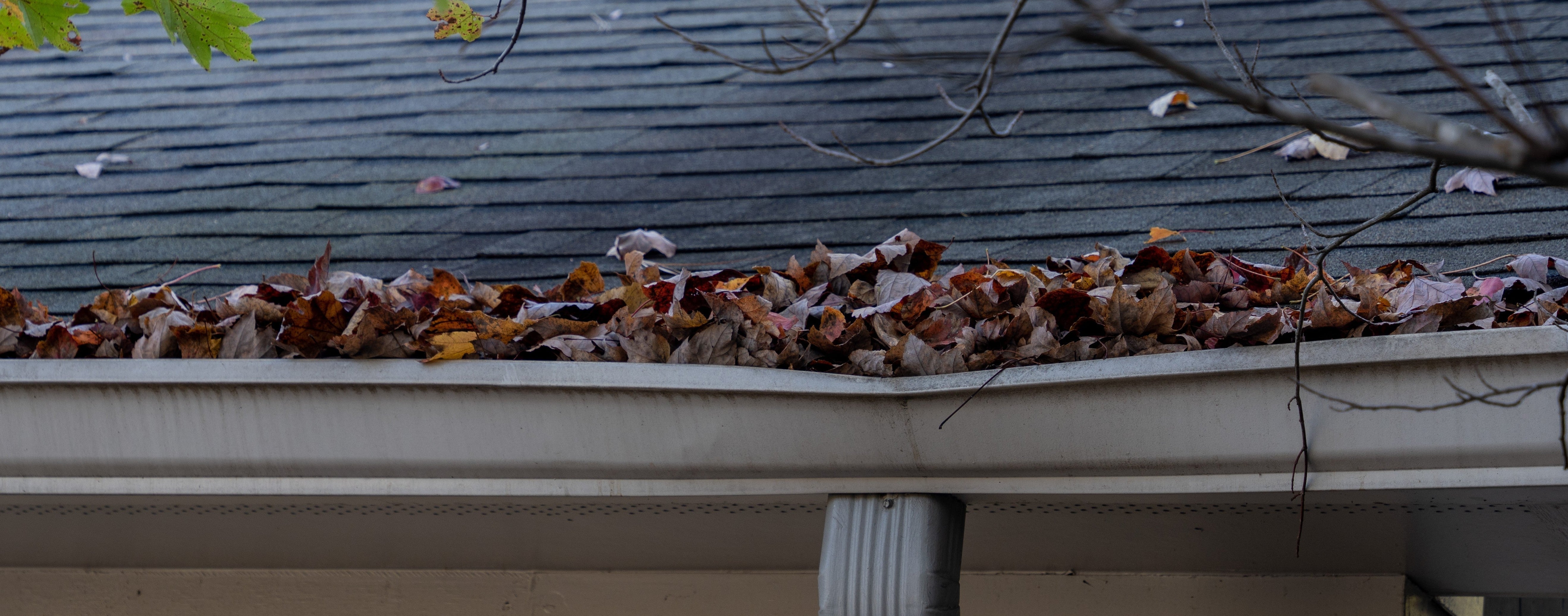 Blocked Gutters | Actionable Steps to Prevent Clogged Gutters — Gutter ...