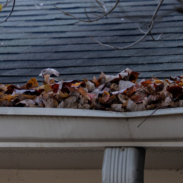 Cleaning Gutters
