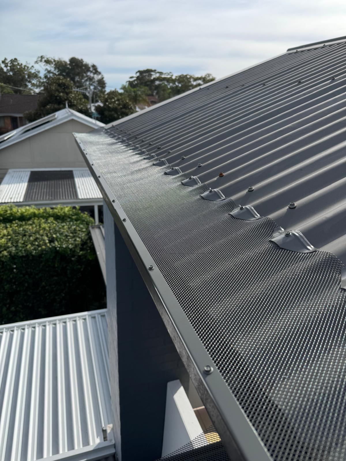 Ember and Gutter Guard on Corrugated Roof