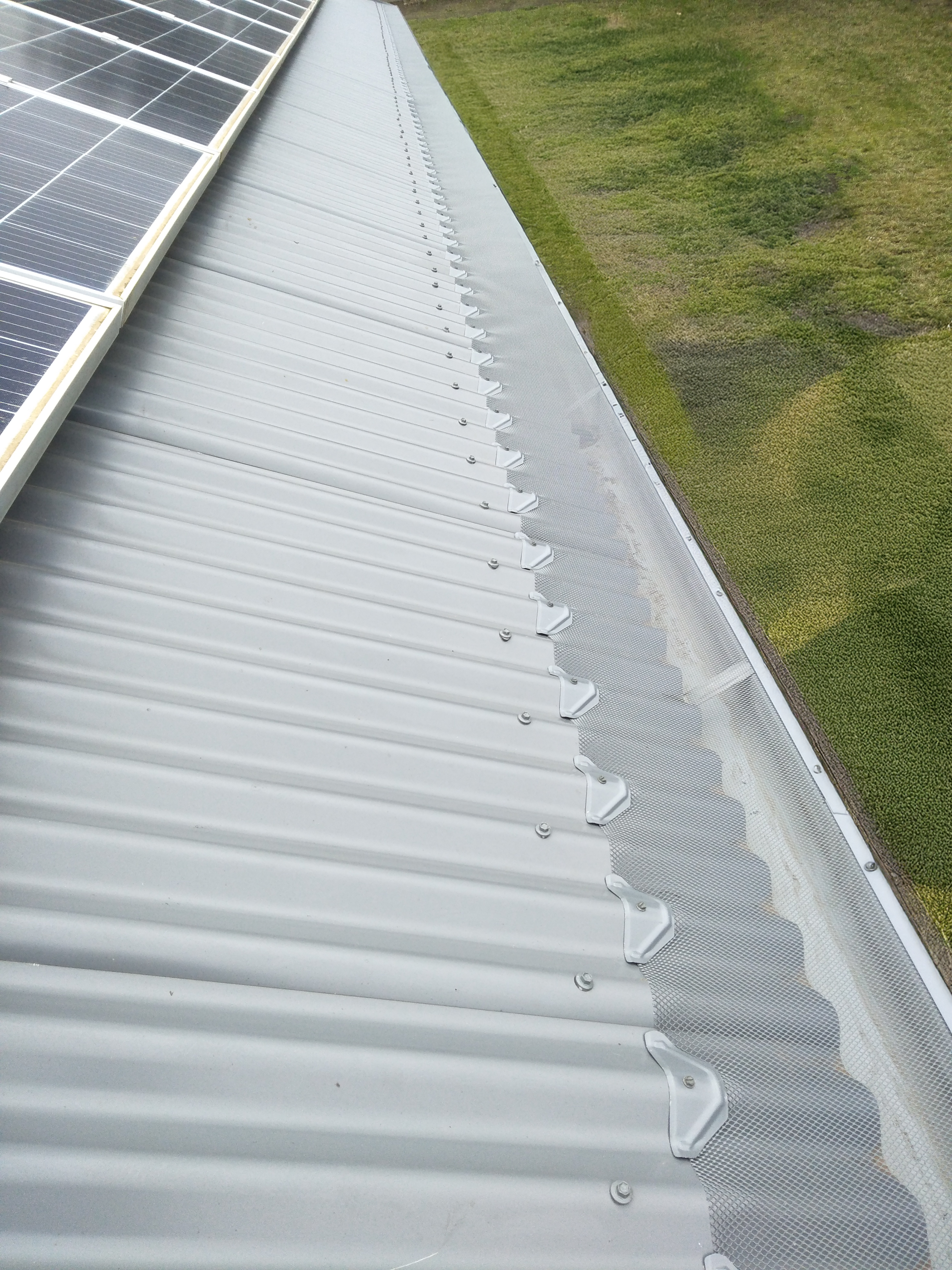 Ember and Gutter Guard installed on Corrugated Roof