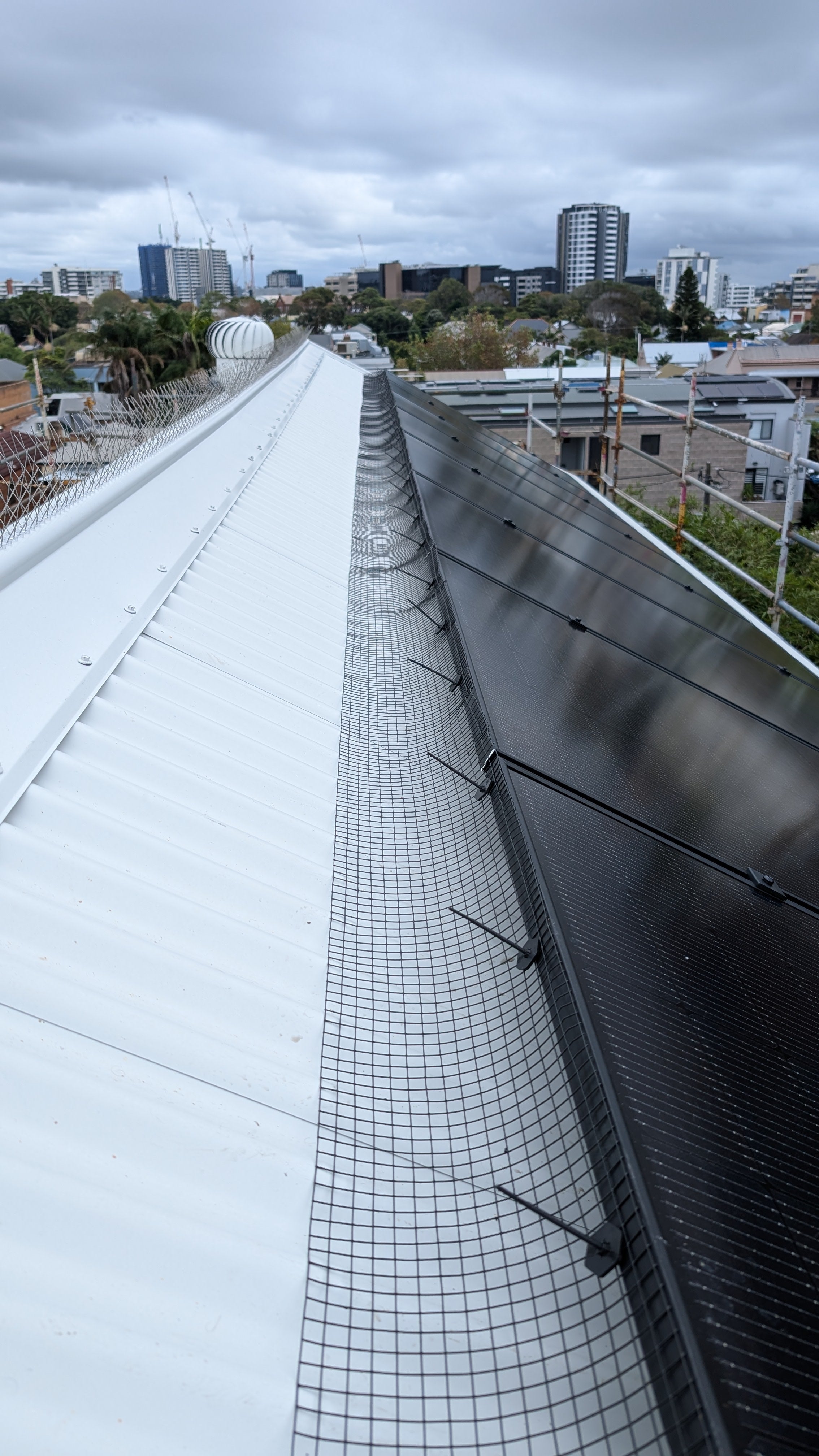 Solar Panels on roof with Solar Mesh installed