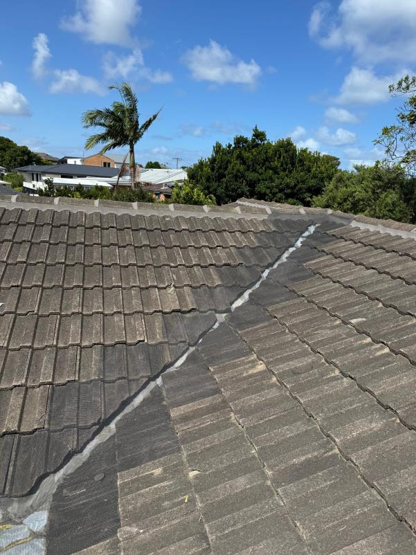 Tiled Valley Roof Ember and Gutter Guard Kit